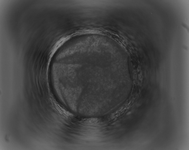 X0000097460104200803201435