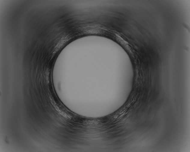 X0000097460106200803201435