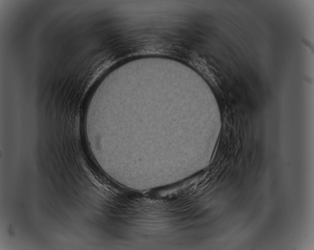 X0000097460108200803201435