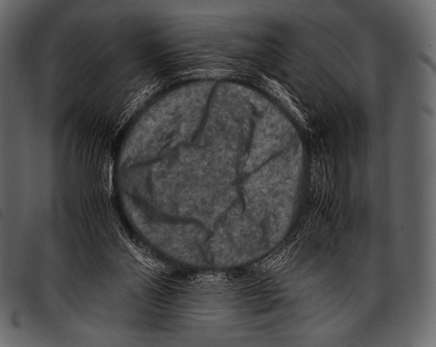 X0000097460110200803201435