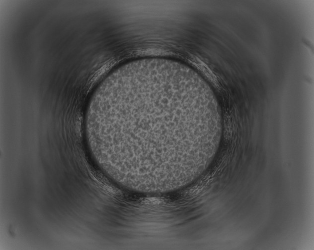 X0000097460111200803201435