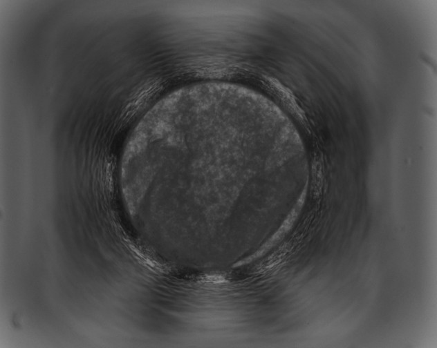 X0000097460114200803201435