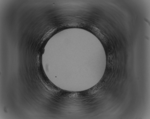 X0000097460116200803201435