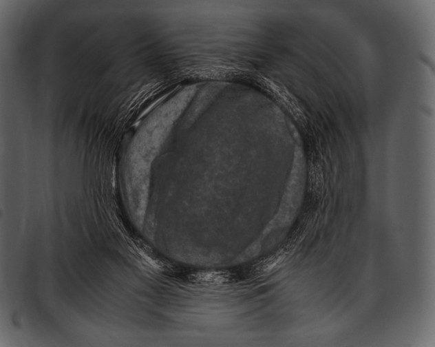 X0000097460117200803201435