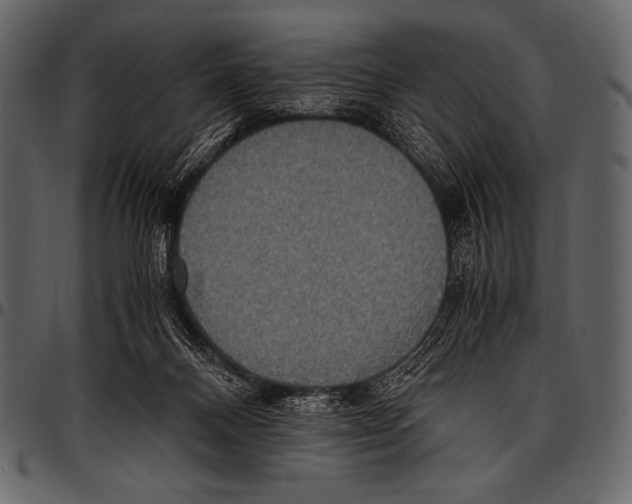 X0000097460120200803201435