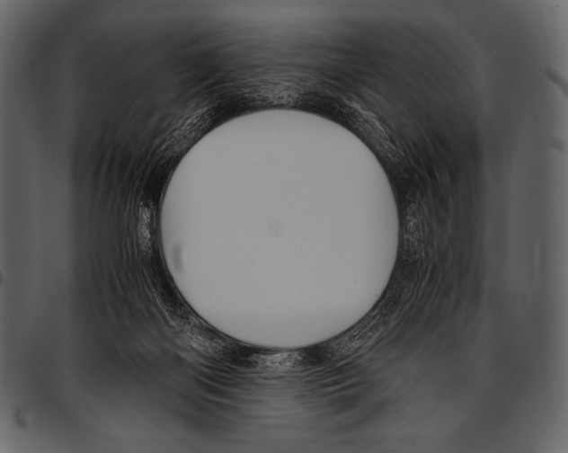 X0000097460122200803201435