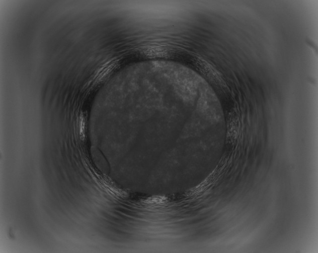 X0000097460124200803201435