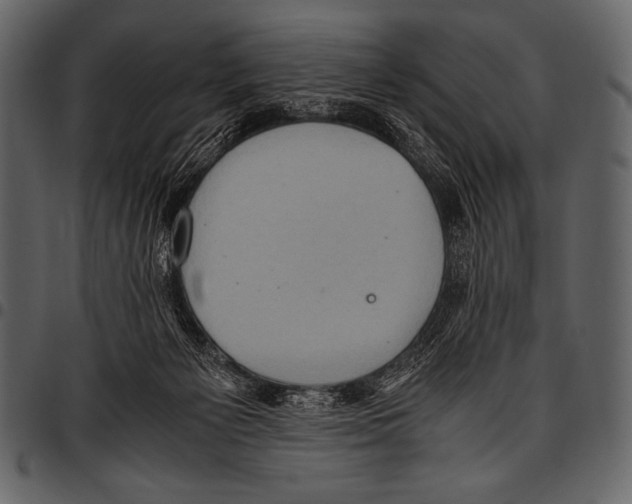 X0000097460125200803201435