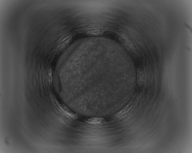 X0000097460128200803201434