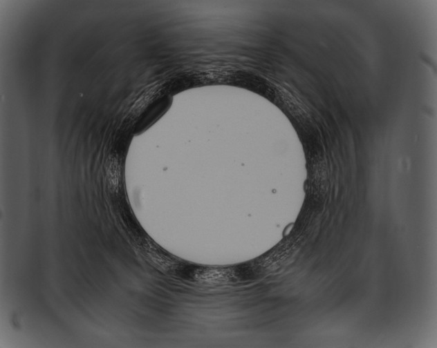 X0000097460129200803201434