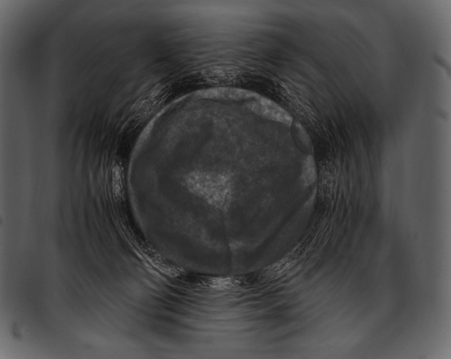 X0000097460130200803201434