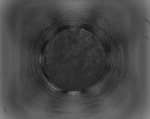 X0000097460137200803201434