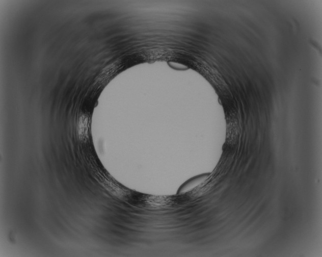 X0000097460142200803201434