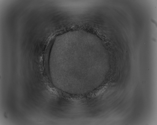 X0000097460144200803201434