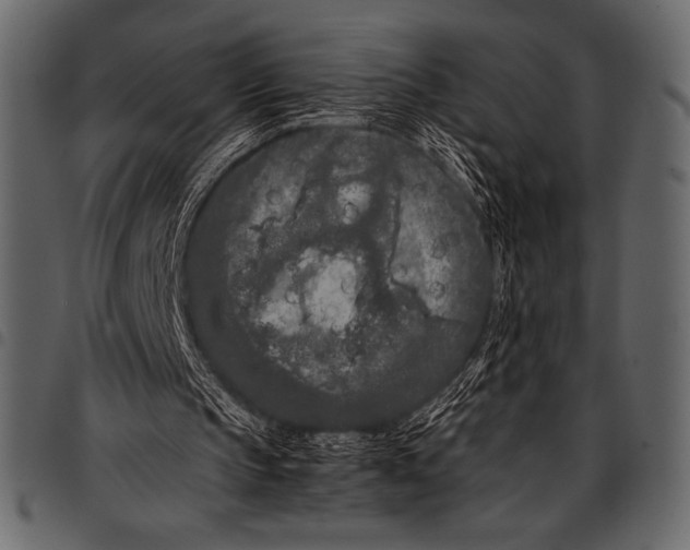 X0000097460145200803201434