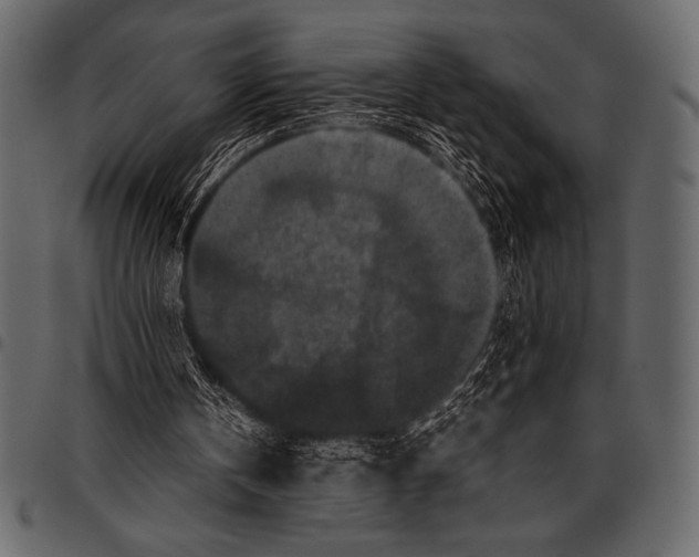 X0000097460146200803201434