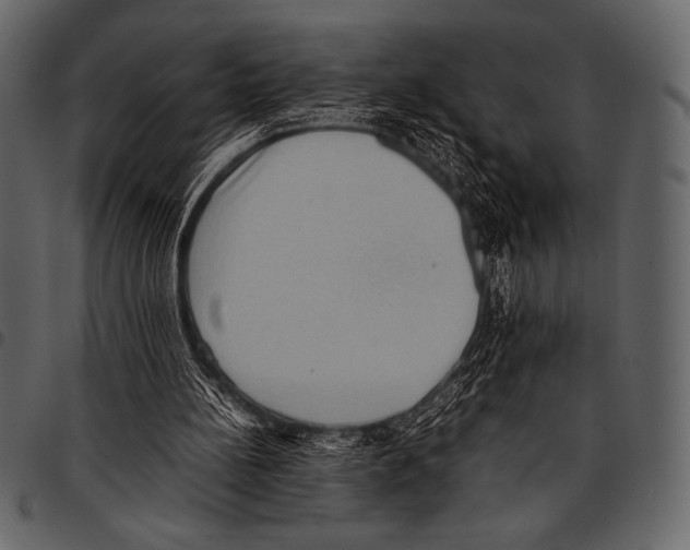 X0000097460148200803201434