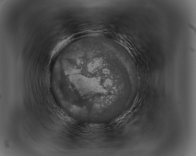 X0000097460149200803201434