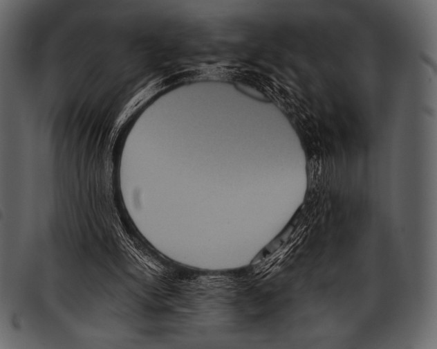 X0000097460150200803201434