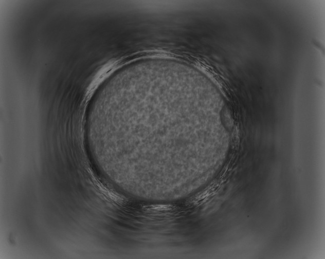 X0000097460151200803201434