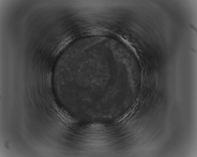 X0000097460154200803201434