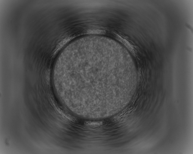 X0000097460155200803201434