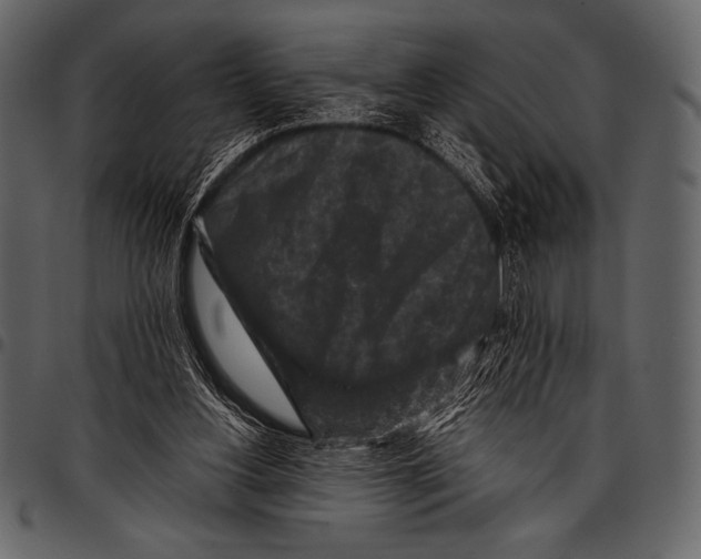 X0000097460156200803201434