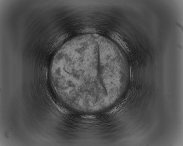 X0000097460157200803201434