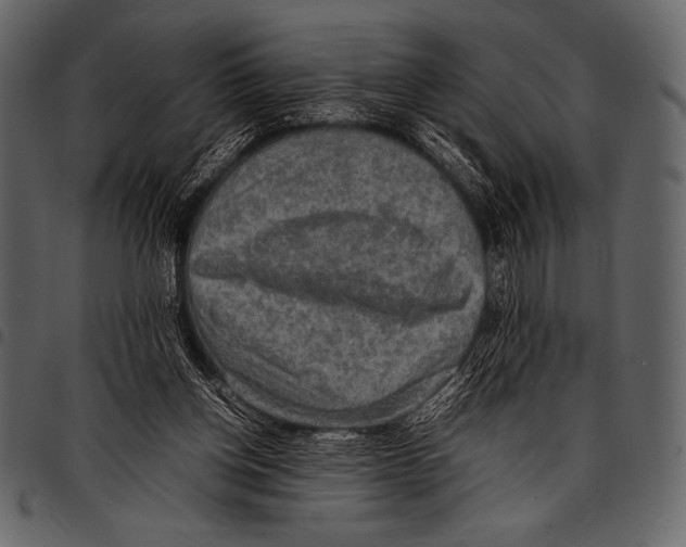 X0000097460158200803201434