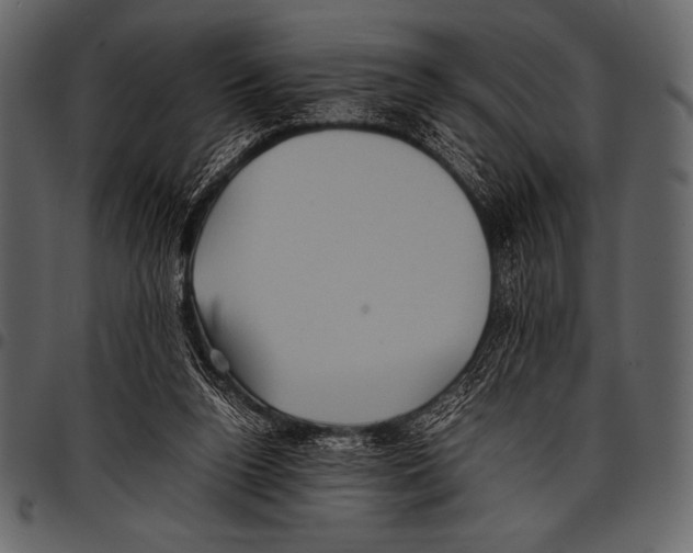 X0000097460160200803201434