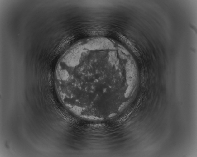 X0000097460161200803201434