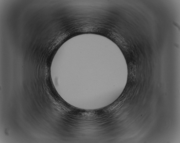 X0000097460164200803201434