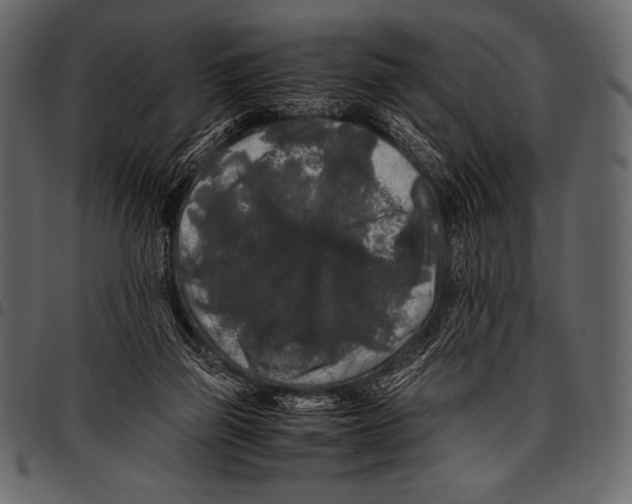 X0000097460165200803201434