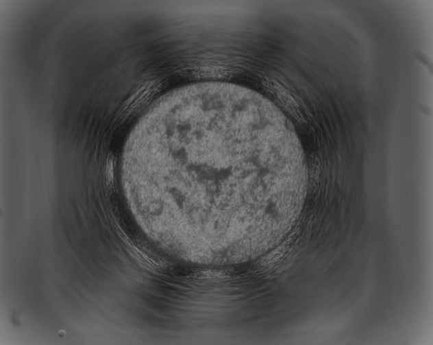 X0000097460166200803201434