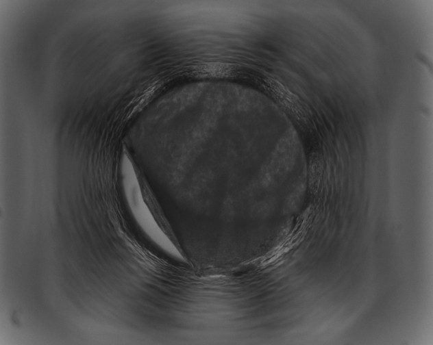 X0000097460168200803201434