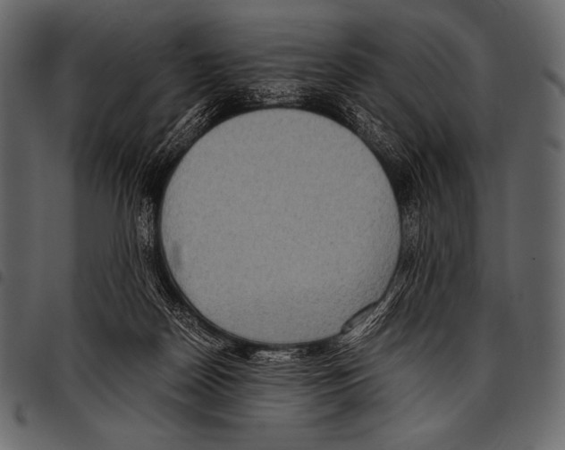 X0000097460170200803201434