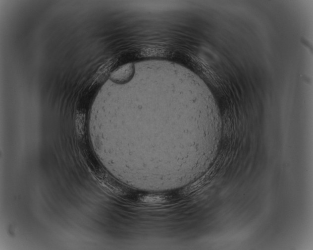 X0000097460171200803201434