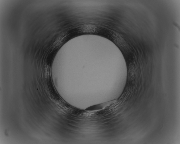 X0000097460172200803201434