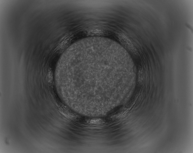 X0000097460173200803201434