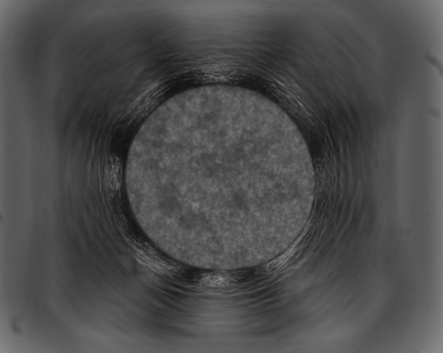 X0000097460174200803201434