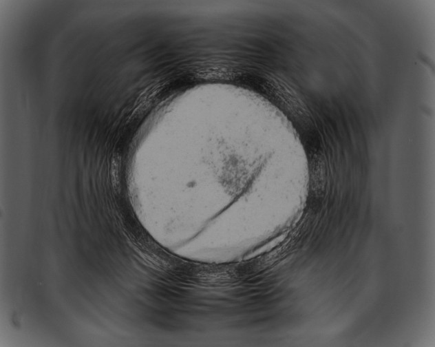 X0000097460175200803201434