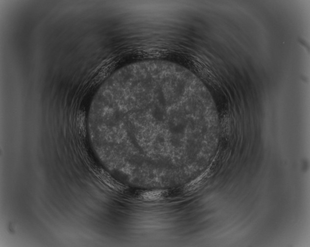 X0000097460178200803201434