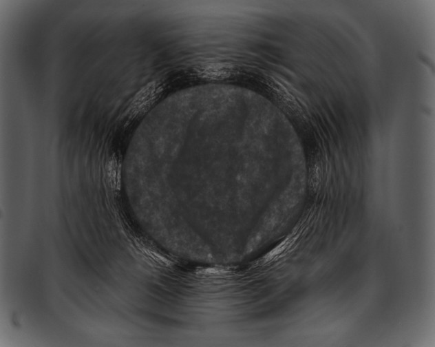 X0000097460180200803201434