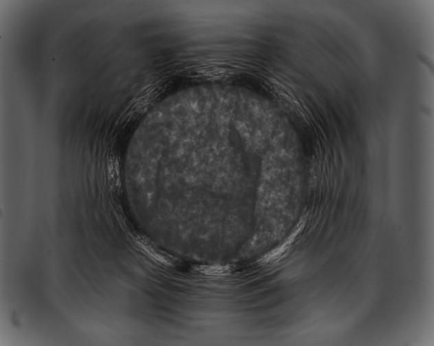 X0000097460182200803201434