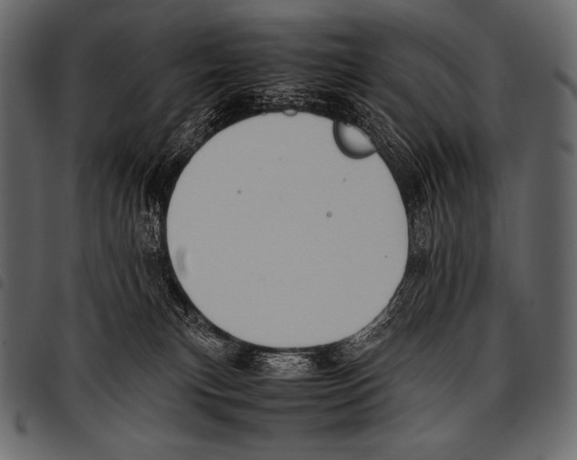 X0000097460183200803201434