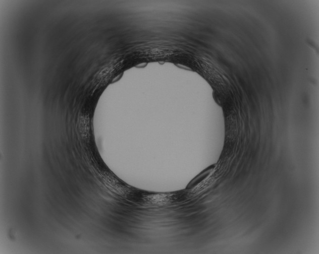 X0000097460184200803201434