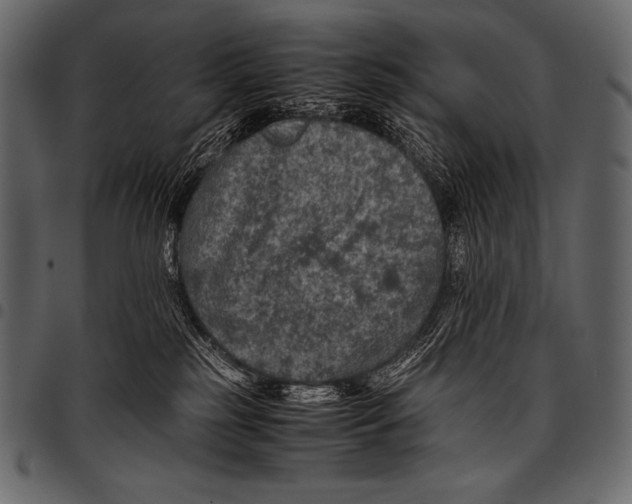 X0000097460185200803201434