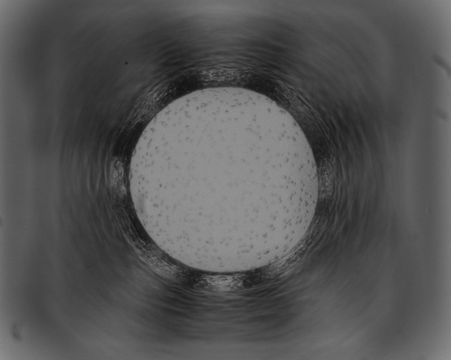 X0000097460187200803201434