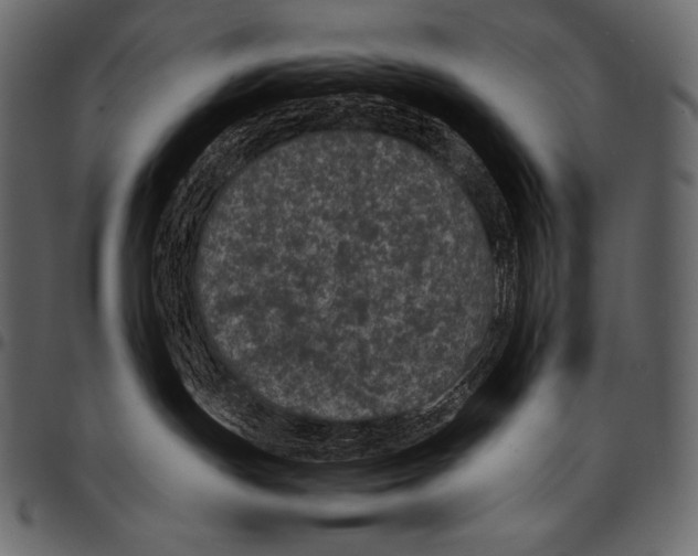 X0000097460191200803201434