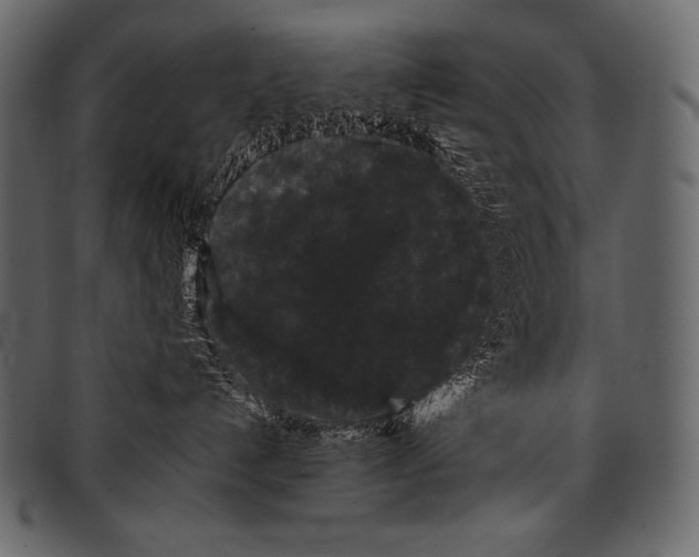 X0000097460192200803201434